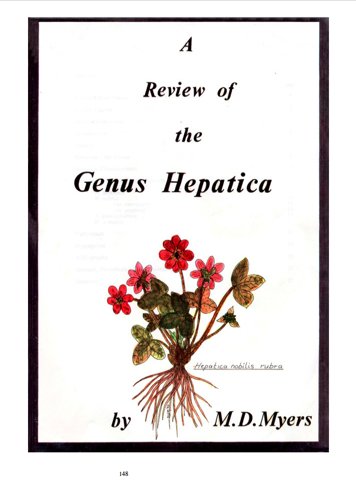 Genus Hepatica