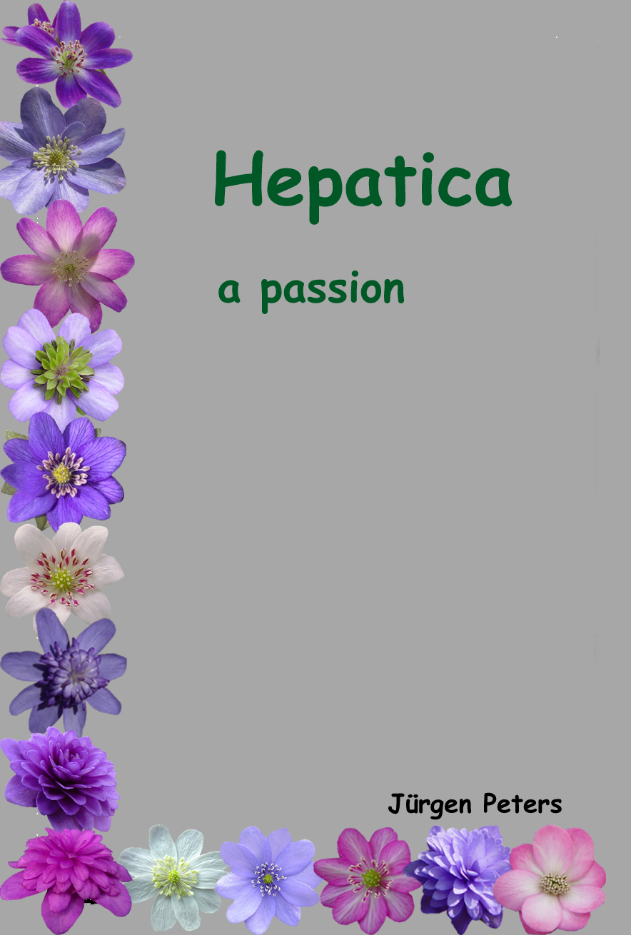 Hepatica a passion_Seite_001