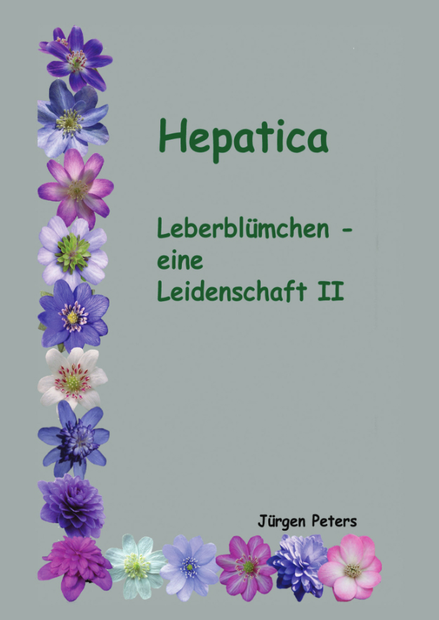 Hepatica_LederblümchenLeidenschaft_II_Seite_001