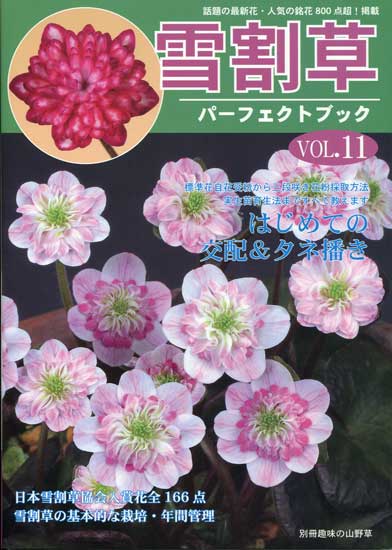 Japanische Magazine