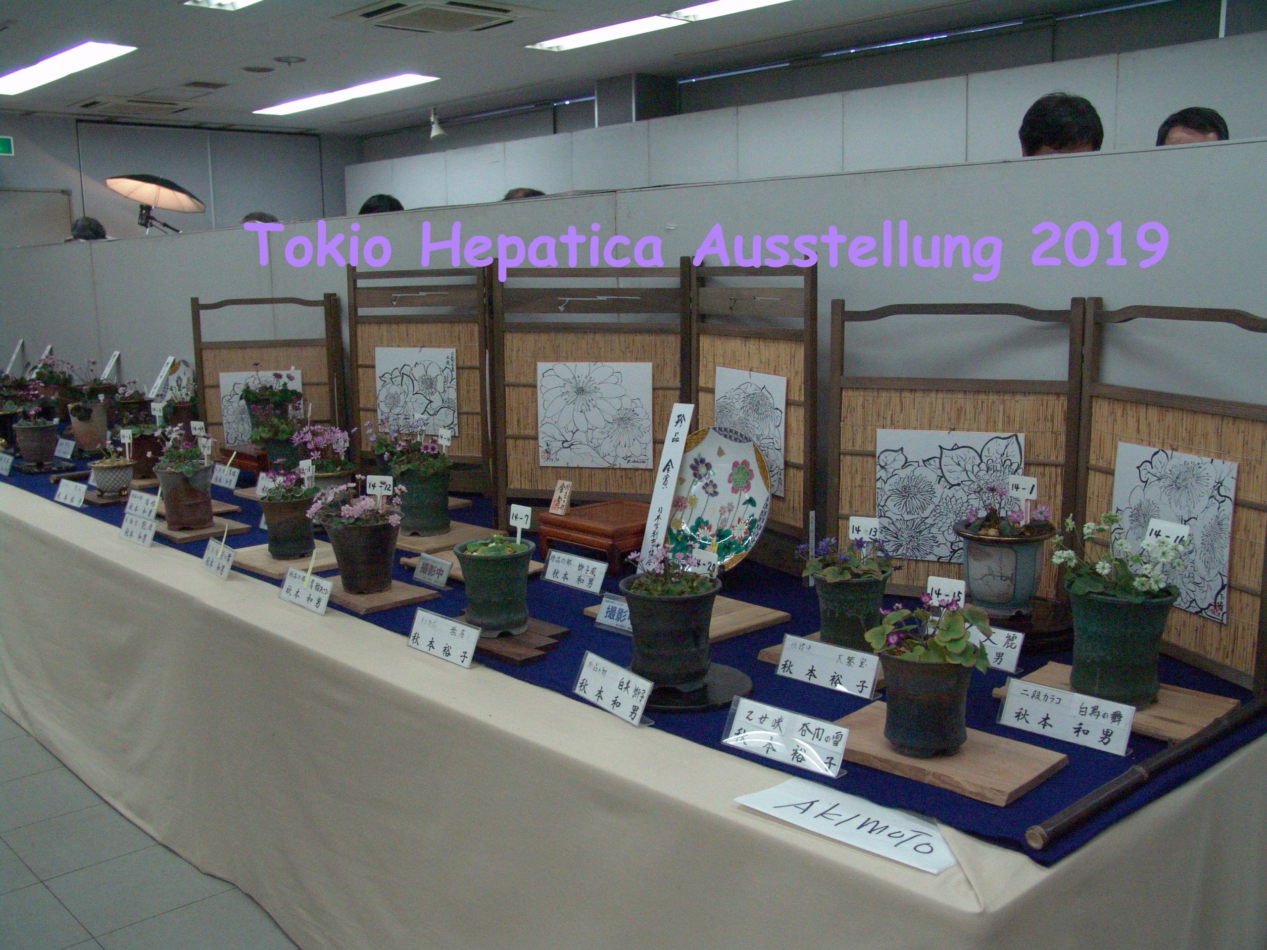 Tokio Hepatica Ausstellung 2009